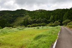 屋久川林道の風景写真