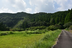 屋久川林道の風景写真