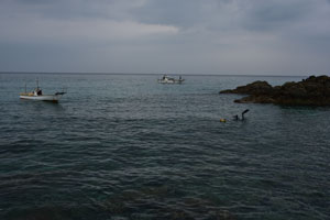 花里海岸でのナガラメ漁