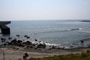現和浅川漁港周辺でのナガラメ漁