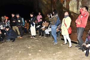 洞窟の中の一般客